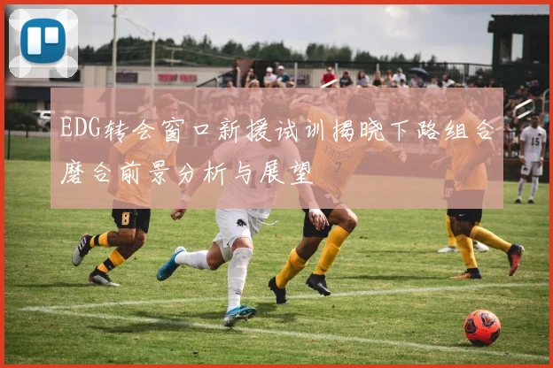 EDG转会窗口新援试训揭晓下路组合磨合前景分析与展望