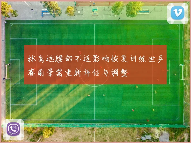 林高远腰部不适影响恢复训练世乒赛前景需重新评估与调整